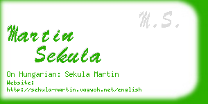 martin sekula business card